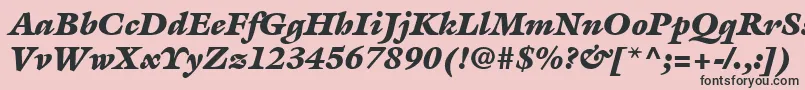 ItcGalliardLtUltraItalic Font – Black Fonts on Pink Background