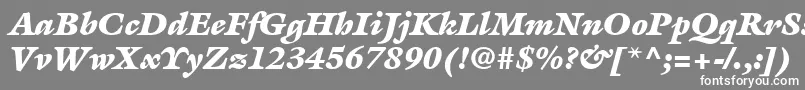 ItcGalliardLtUltraItalic Font – White Fonts on Gray Background