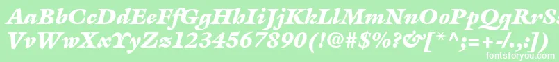 ItcGalliardLtUltraItalic Font – White Fonts on Green Background