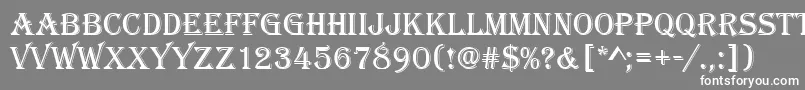 Algeriand Font – White Fonts on Gray Background