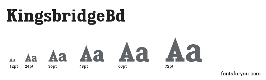 KingsbridgeBd Font Sizes