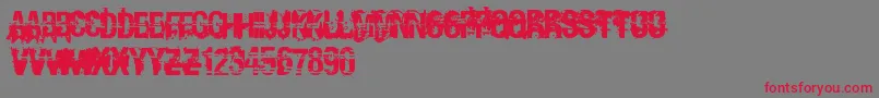 Andy ffy Font – Red Fonts on Gray Background