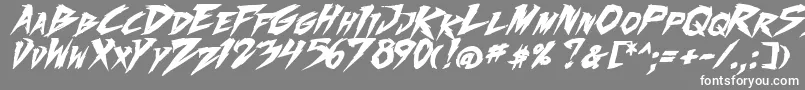 フォントFightingSpirit2Bold – 灰色の背景に白い文字