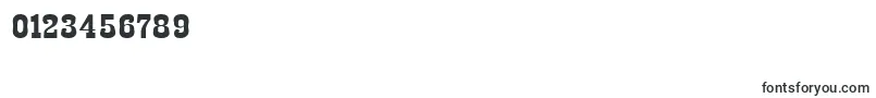 EgipetBold Font – Fonts for Numbers and Digits