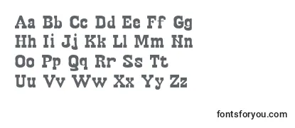 Review of the EgipetBold Font