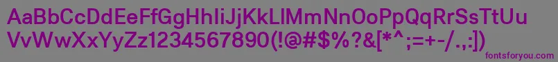 Шрифт Lunchtype22Medium – фиолетовые шрифты на сером фоне