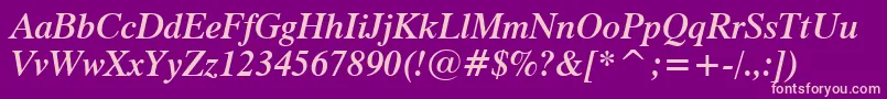 Dutch801SemiBoldItalicBt-Schriftart – Rosa Schriften auf violettem Hintergrund