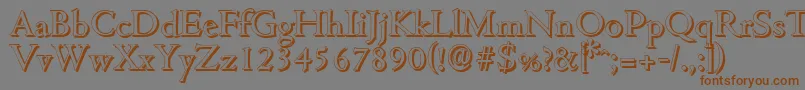 CambridgeshadowRegular Font – Brown Fonts on Gray Background