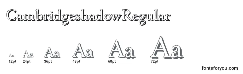 Размеры шрифта CambridgeshadowRegular