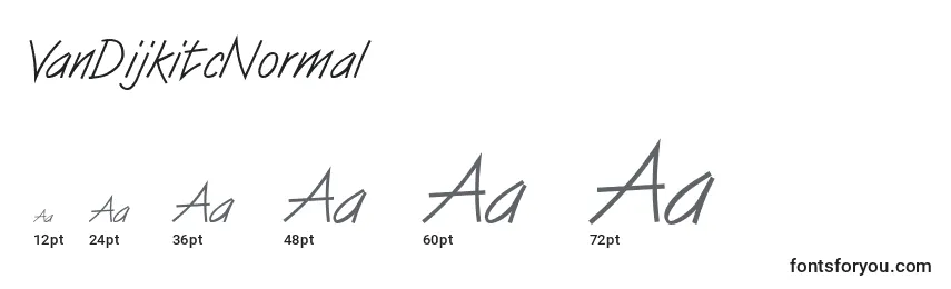 Размеры шрифта VanDijkitcNormal
