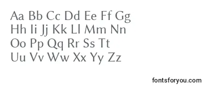 Обзор шрифта LinbiolinumR