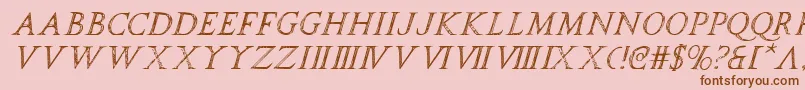 SpqrItalic Font – Brown Fonts on Pink Background