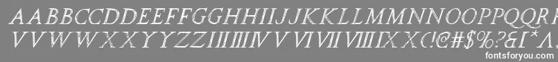 SpqrItalic Font – White Fonts on Gray Background