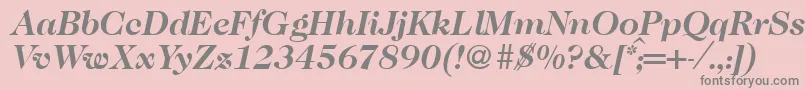 Caslon335Bolditalic-fontti – harmaat kirjasimet vaaleanpunaisella taustalla