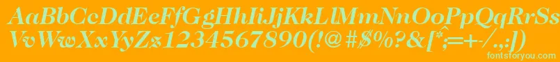 Caslon335Bolditalic Font – Green Fonts on Orange Background