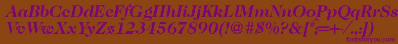 Caslon335Bolditalic Font – Purple Fonts on Brown Background