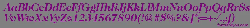 Caslon335Bolditalic-fontti – violetit fontit harmaalla taustalla