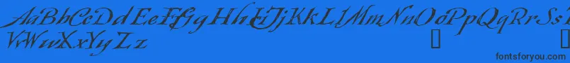 フォントQueensland – 黒い文字の青い背景