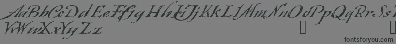 Queensland Font – Black Fonts on Gray Background