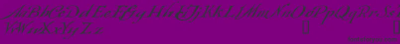 フォントQueensland – 紫の背景に黒い文字