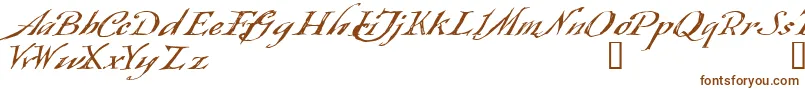 Шрифт Queensland – коричневые шрифты на белом фоне