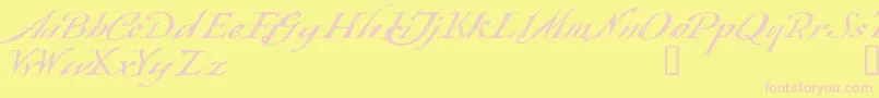 Queensland Font – Pink Fonts on Yellow Background