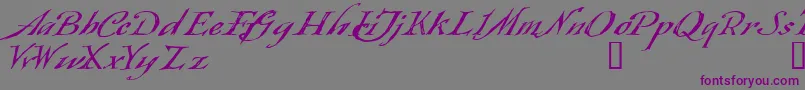 Queensland-fontti – violetit fontit harmaalla taustalla