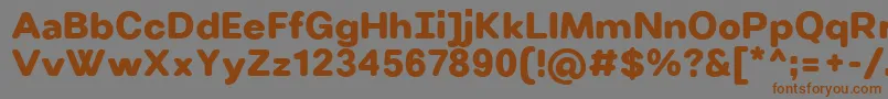 VillerayroundedUltrabold Font – Brown Fonts on Gray Background