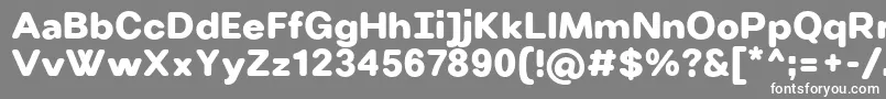 VillerayroundedUltrabold Font – White Fonts on Gray Background