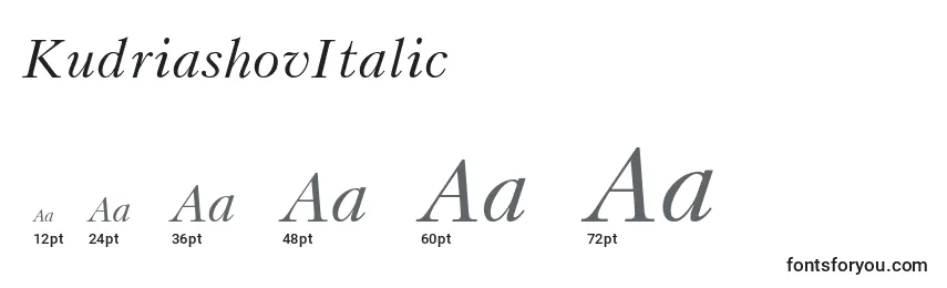 Размеры шрифта KudriashovItalic