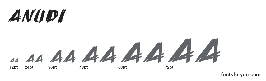 Размеры шрифта Anudi