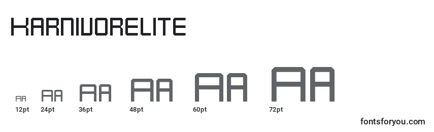 Размеры шрифта KarnivoreLite