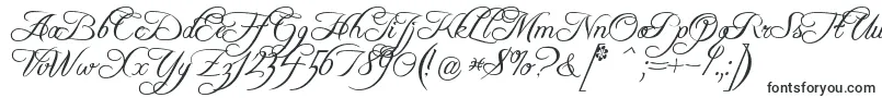 Шрифт Freebsc – каллиграфические шрифты