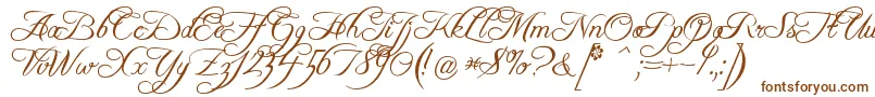 Шрифт Freebsc – коричневые шрифты на белом фоне