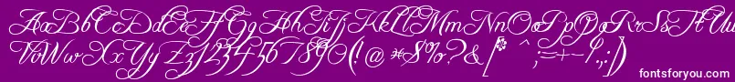 Freebsc-Schriftart – Weiße Schriften auf violettem Hintergrund