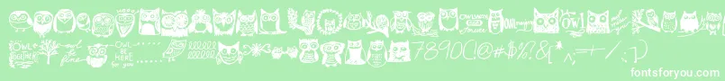 Owlmazing Font – White Fonts on Green Background
