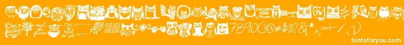 Owlmazing Font – White Fonts on Orange Background