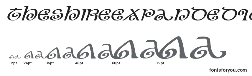 TheShireExpandedItalic Font Sizes