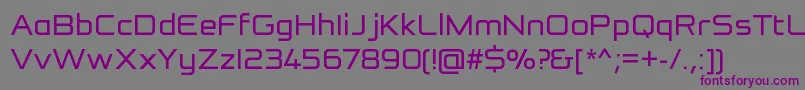 ReformationSansRegular Font – Purple Fonts on Gray Background
