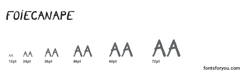 Размеры шрифта Foiecanape (70961)