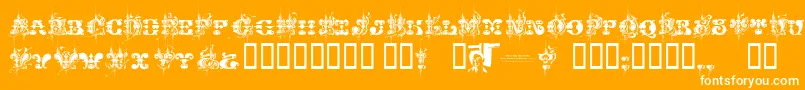 フォントChasezenjingletruckkarachi – オレンジの背景に白い文字