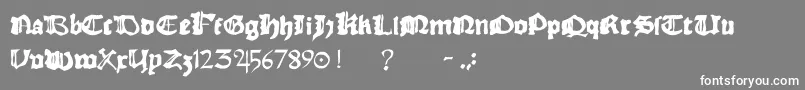 Rhymechronicle1494 Font – White Fonts on Gray Background