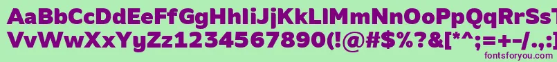 AminoBlack Font – Purple Fonts on Green Background