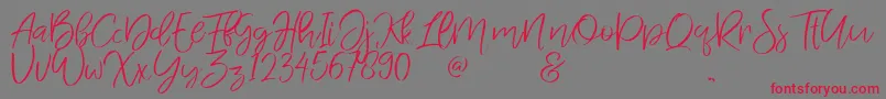 JandysDua Font – Red Fonts on Gray Background