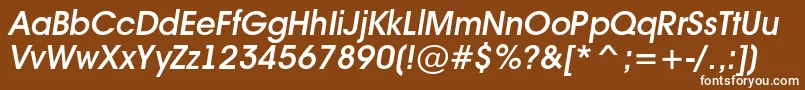 Avant16 Font – White Fonts on Brown Background