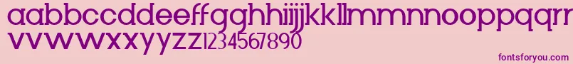 Diminuto Font – Purple Fonts on Pink Background