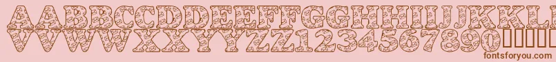LmsSnailMail Font – Brown Fonts on Pink Background