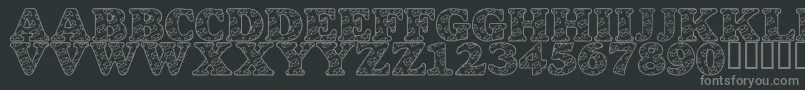 LmsSnailMail Font – Gray Fonts on Black Background