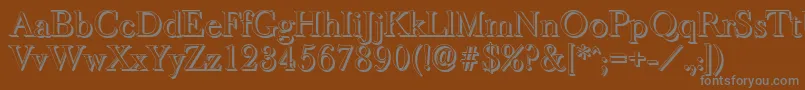 BaskeroldshadowRegular Font – Gray Fonts on Brown Background