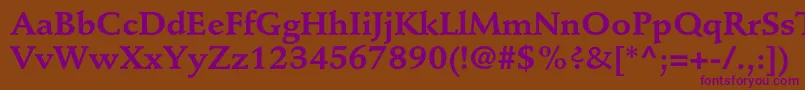 StempelschneidlerstdBold Font – Purple Fonts on Brown Background